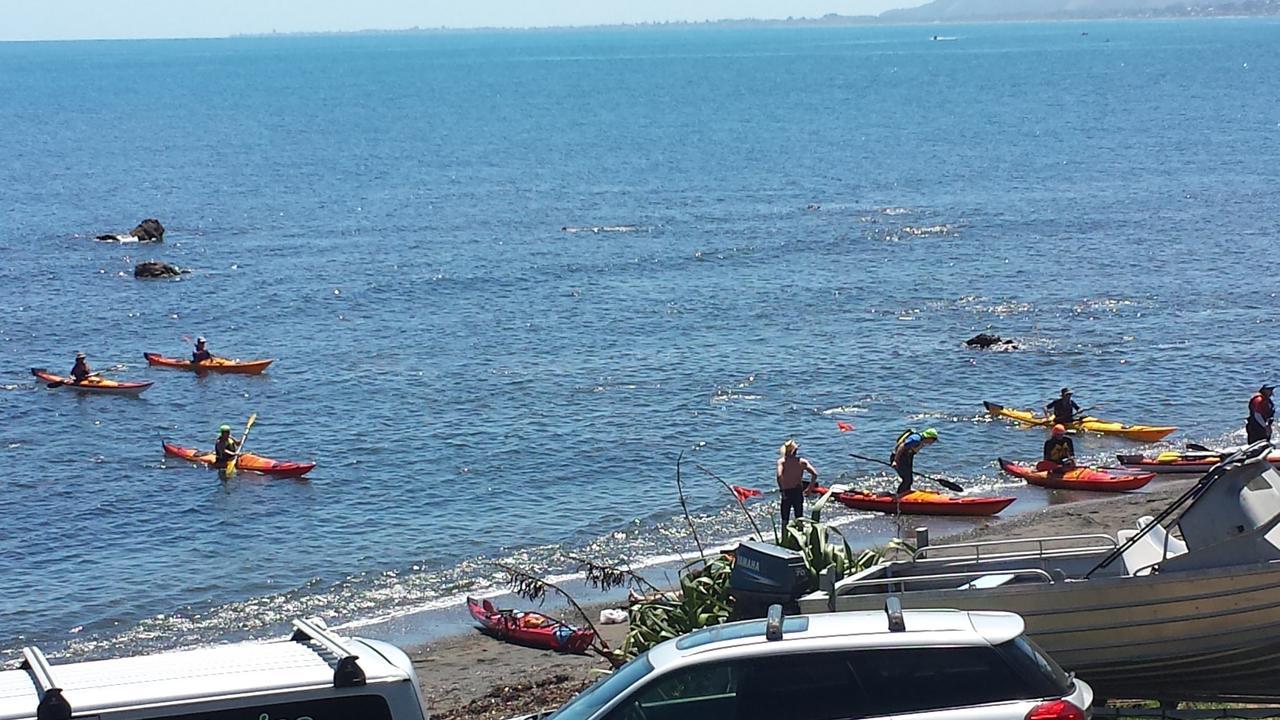 Pukerua Bay Kapiti Waves Bed & Breakfast المظهر الخارجي الصورة