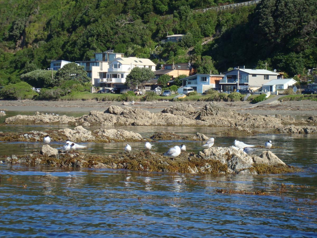 Pukerua Bay Kapiti Waves Bed & Breakfast المظهر الخارجي الصورة